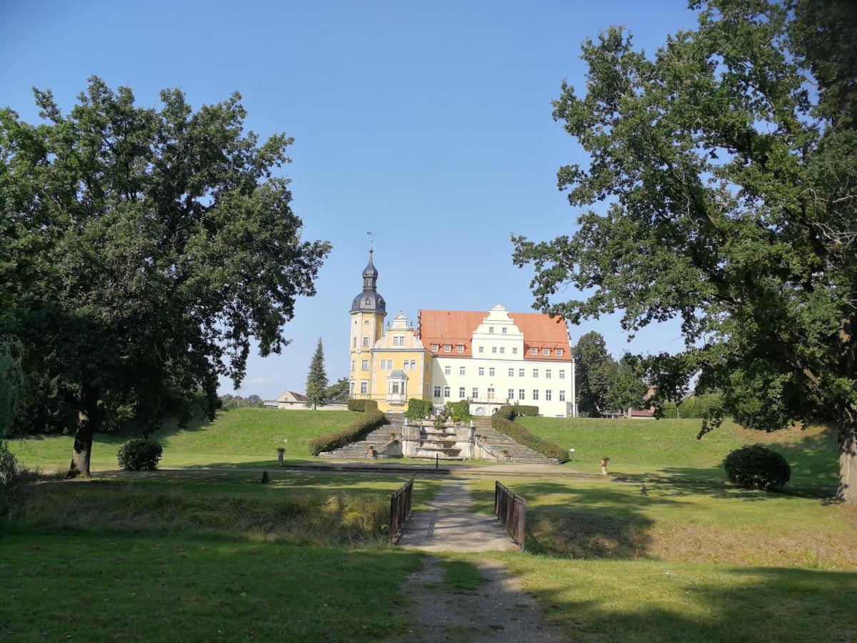 Pension Schlossblick Thallwitz Esterno foto